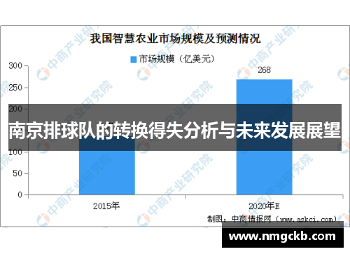南京排球队的转换得失分析与未来发展展望
