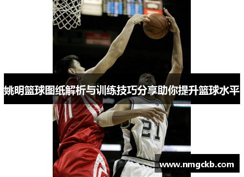姚明篮球图纸解析与训练技巧分享助你提升篮球水平
